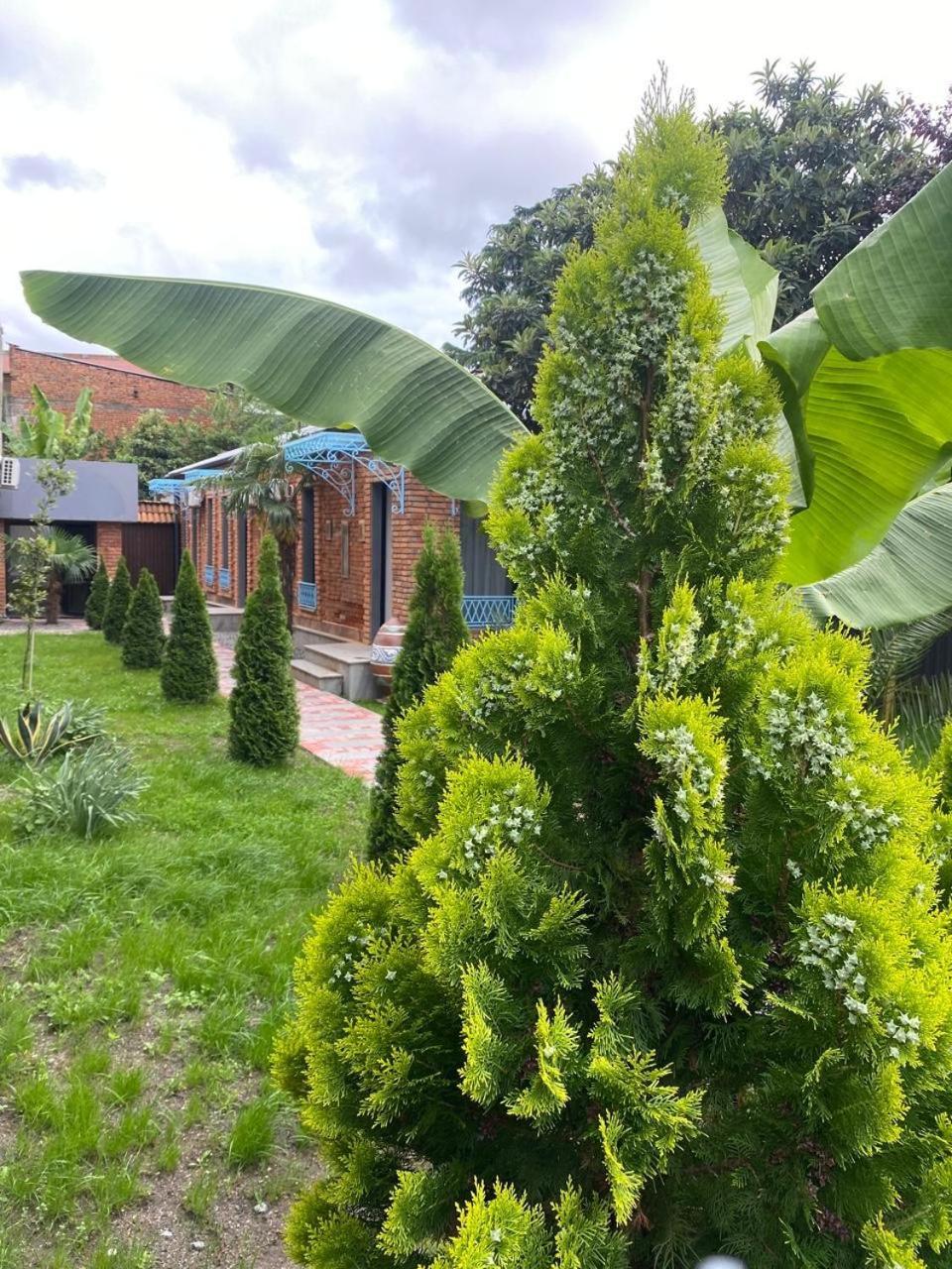 Hotel Varla Кутаиси Екстериор снимка